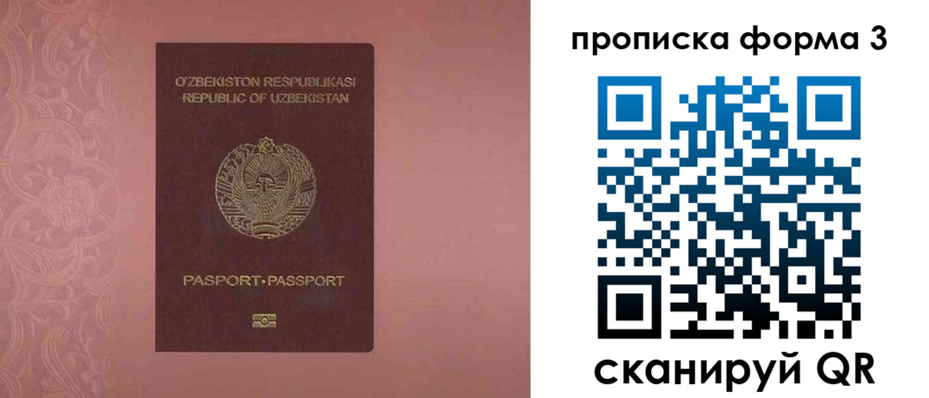 регистрация в Могочи